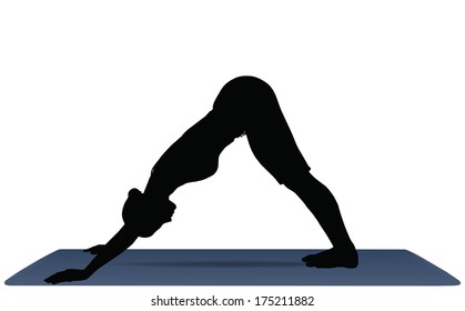 EPS 10 vector illustration of Yoga positions in Downward-Facing Dog pose