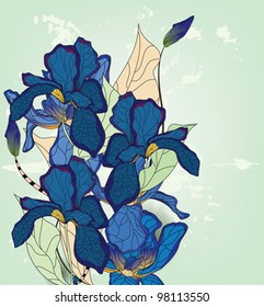 EPS 10 vector - iris composition with space for text