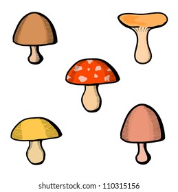 Eps 10 vector mushroom design elements set