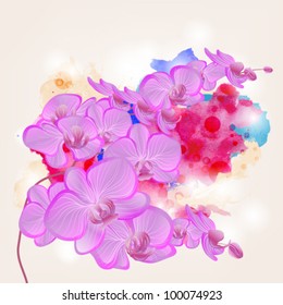 Eps 10 vector - orchid branch on a grunge watercolors background