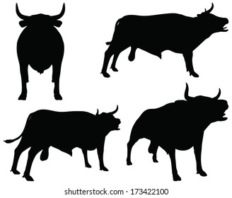 EPS 10 vector silhouettes of cattle collection in bellow position