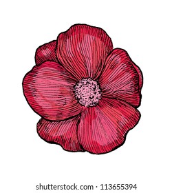 Eps 10 vector srtylized flower illustration