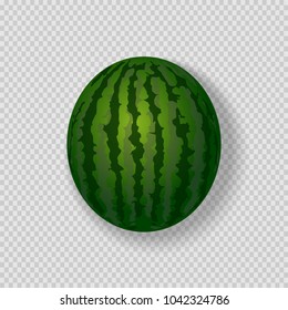 eps 10 vector watermelon isolated on transparent background