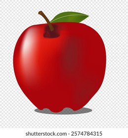 Eps 10 Vector.3d Vector Red Apple, Education, Back to school concept. 