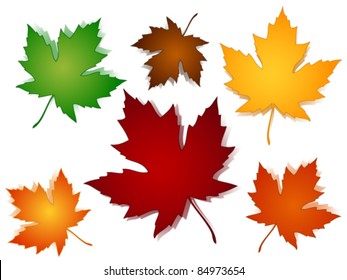 EPS 10:Maple leaves in a variety of autumn or fall colors with shadows