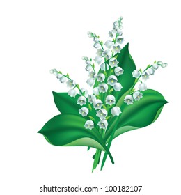 EPS 8/ Flowers and leaves of lily of the valley {Convallaria majalis}