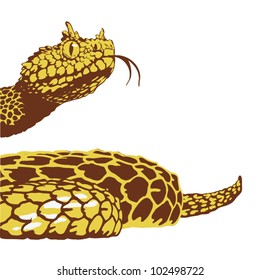 EPS 8/ Horned viper - in two colors.{Cerastes}