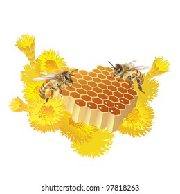 EPS 8/ Two bees and honeycomb heart-shaped [Anthophila]