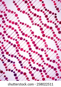 eps, beautiful structure of the DNA molecule
