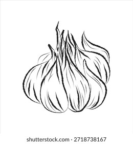 Formato EPS, doodle dibujado a mano conjunto de iconos, dibujo de contorno, dibujo de contorno de ajo, diseño de Vector, arte de línea de ajo de Vector, conjunto de diseño de pintura a mano