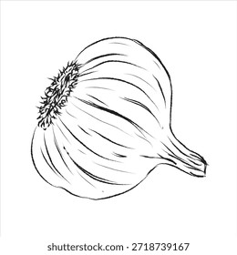 EPS-Format, handgezeichnetes Symbol-Set, Umrisszeichnung, Umrisszeichnung für Knoblauch, Vektor , Vektorgrafik für Knoblauchlinien, Handmalerei-Set, Vektordesign, ideal für Verpackungsdesign, Lebensmittelmarken, Produktdesign und Etikettendesign
