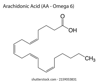 EPS molecular structure of Arachidonic acid (AA) omega 6