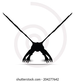 EPS Vector 10 - dragon silhouette in black