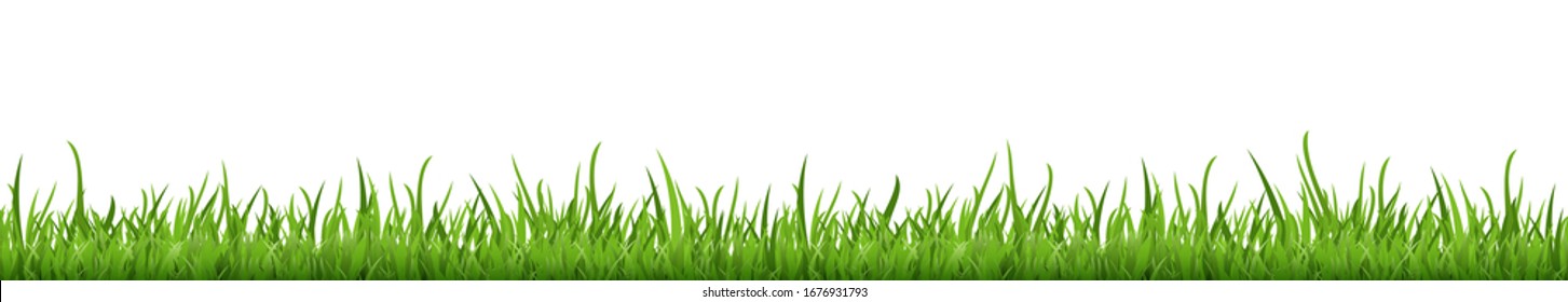 eps vector background template file of seamless panorama green summer grass on lower side for summer or spring designs
