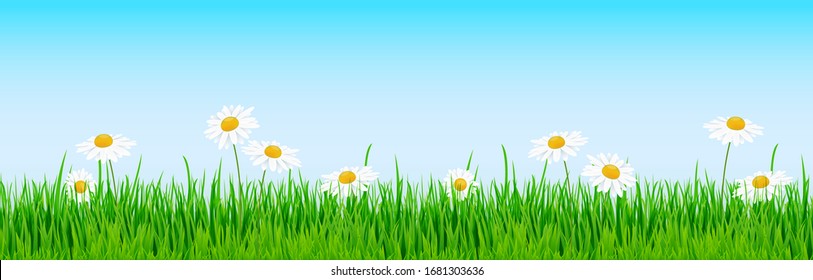 45,804 Flower isolated on lawn background Images, Stock Photos ...
