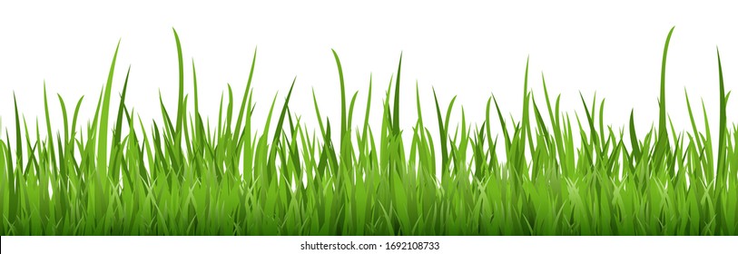 Pasos archivo de plantilla de fondo vectorial transparente verde de pasto de verano en el lado inferior para los diseños de verano o primavera