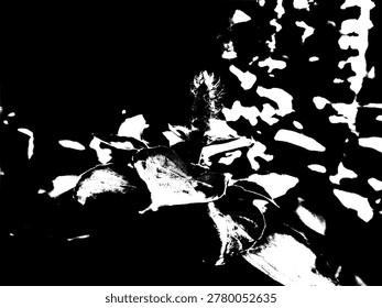 EPS vector of a basil flower bud among leaves. High-contrast black and white stencil graphic featuring organic textures and botanical patterns for culinary and garden design.