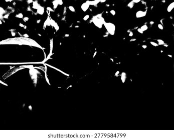 EPS vector of a rose flower bud among leaves and twigs. High-contrast black and white stencil graphic featuring organic botanical shapes and textured foliage for romantic or vintage design.