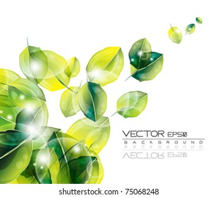 eps10 abstract leaf vector design with space for text