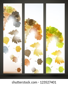 eps10, autumn banner