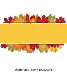 EPS10 Autumn maple leaves background. Vector illustration.