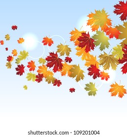 EPS10 Autumn maple leaves background. Vector illustration.