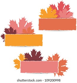 EPS10 Autumn maple leaves design. Vector illustration.