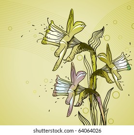 eps10 background with gentle hand drawn daffodils