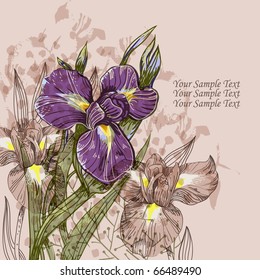 eps10 background with gentle watercolor irises and plants