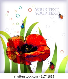 eps10 background with glowing red poppy and colorful beetles