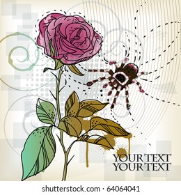 eps10 background with a single rose and a  spotted spider