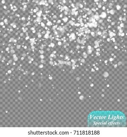 Eps10. Bokeh background. Snowflakes isolated. Vector illustration.