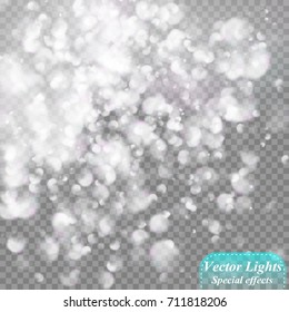 Eps10. Bokeh background. Snowflakes isolated. Vector illustration.