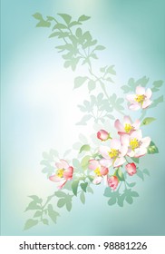 EPS10/ A branch of apple blossoms on a blue background