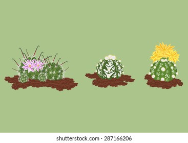 EPS10: Cactus Vectors set