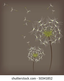 eps10 dandelion background