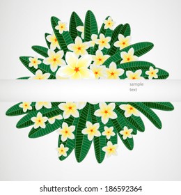 Eps10 Floral design background. Plumeria flowers.