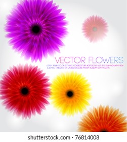 Flores eps10