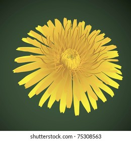 EPS10 Fluffy Flower solar
