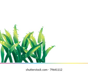 EPS10/ Green grass with dew drops