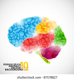 eps10, human brain, vector abstract