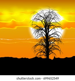 eps10. Illustration of several tree silhouette under the African sun and clouds.