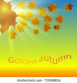 Eps10. Maple leaves at the end of autumn. In the background of heaven