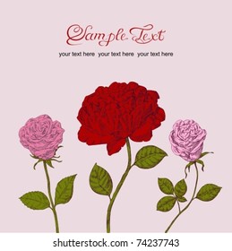EPS10,  Pink and red beautiful roses