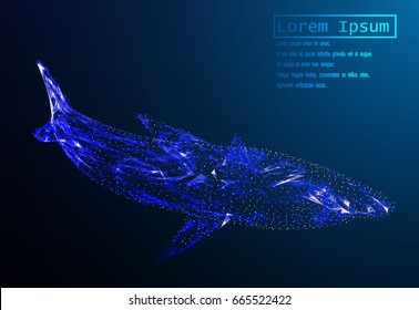 EPS10. Polygonal vector. The shark sails on the sea waves. Illustration of wireframe model. Business Concept