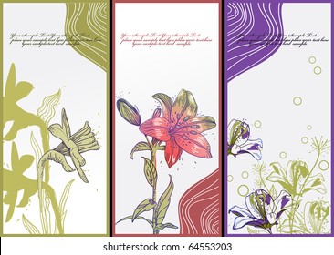 eps10 set of 3 cards with hand drawn garden flowers