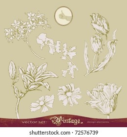 EPS10,  Set of flowers vector for decoration and design
