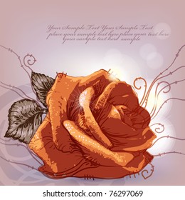eps10 shining background with a single bright rose