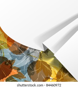 eps10, sticker realistic shadow autumn nature orange poster leaf background abstract