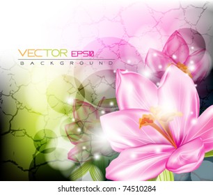 eps10 vector abstract flower background